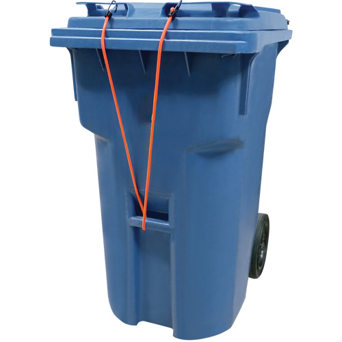 Bungee Cord Tie Downs, 12" Distribution Jean Lapalme