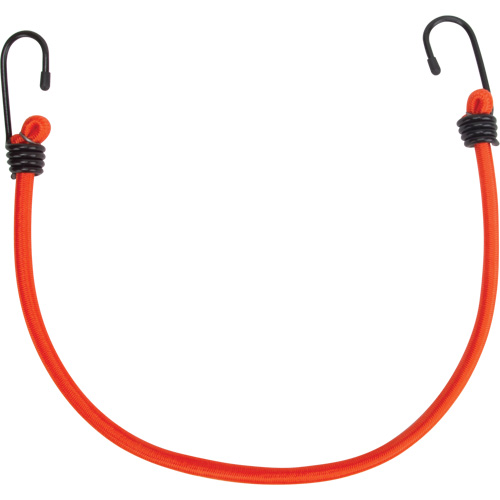 Bungee Cord Tie Downs, 18" Distribution Jean Lapalme