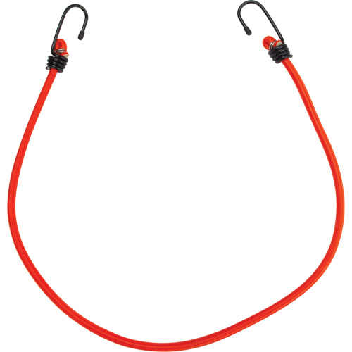Sangles d'arrimage &eacute;lastiques, 30" Distribution Jean Lapalme