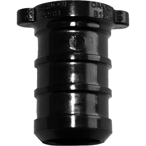 Pipe Plug, Pipe, 1/2" Dia., Polyalloy Distribution Jean Lapalme