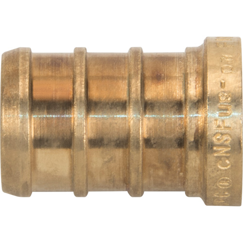 Lead-Free Pipe Plug, Pipe, 1/2" Dia., Brass Distribution Jean Lapalme