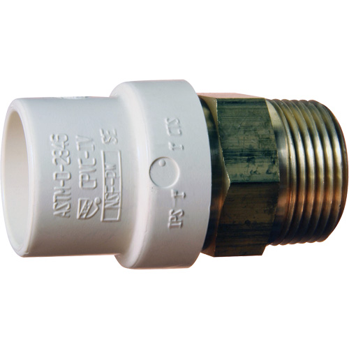 Adaptateur de tuyau filet&eacute;, Noeud x MPT, 1-1/4" dia., Laiton/PVC-C Distribution Jean Lapalme