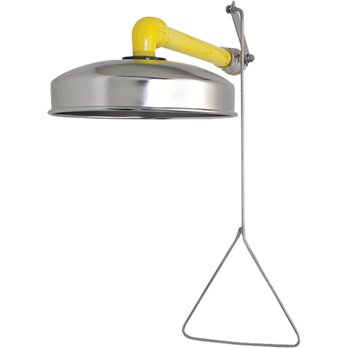 Horizontal Supply Emergency Shower Stations, Wall-Mount Distribution Jean Lapalme