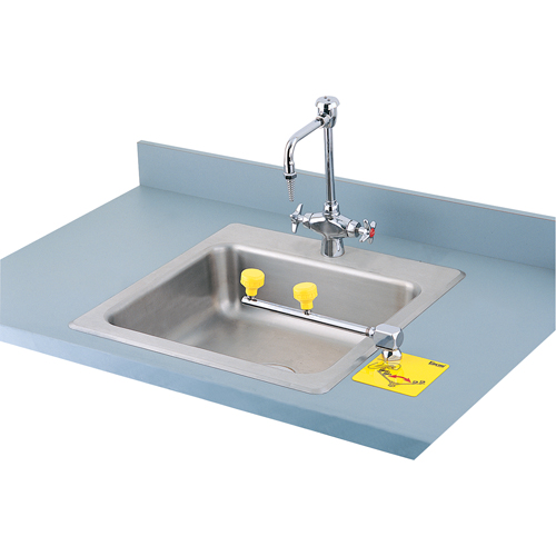 Swing-Away Eyewash Station, Counter-Mount Installation Distribution Jean Lapalme