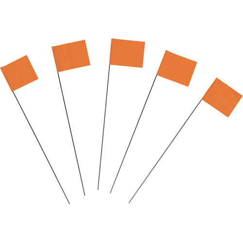 Marking Flags Distribution Jean Lapalme