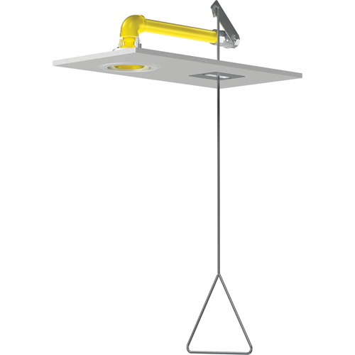 Horizontal Supply Emergency Shower Stations, Ceiling-Mount Distribution Jean Lapalme