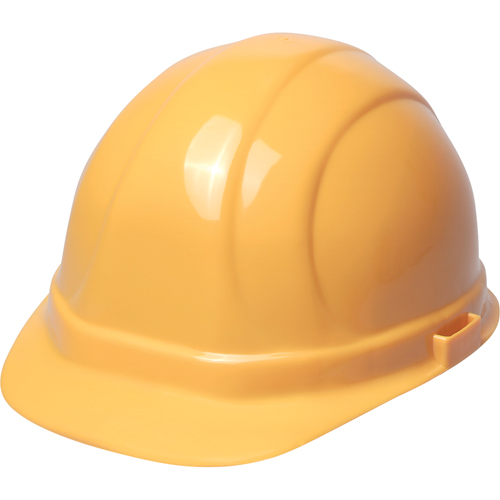 ERB Casque de s&eacute;curit&eacute; Omega II, R&eacute;pond aux normes CSA type 2, Suspension Rochet, Non ventil&eacute; Distribution Jean Lapalme
