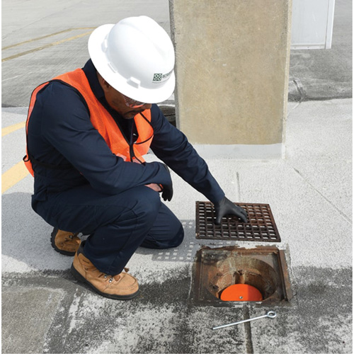 Drain Plug Distribution Jean Lapalme
