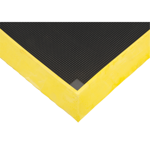 Tapis pour l'assainissement des chaussures, Caoutchouc, 2-2/3' la x 3-1/4' lo x 2-1/2" &eacute;pais, Jaune Distribution Jean Lapalme
