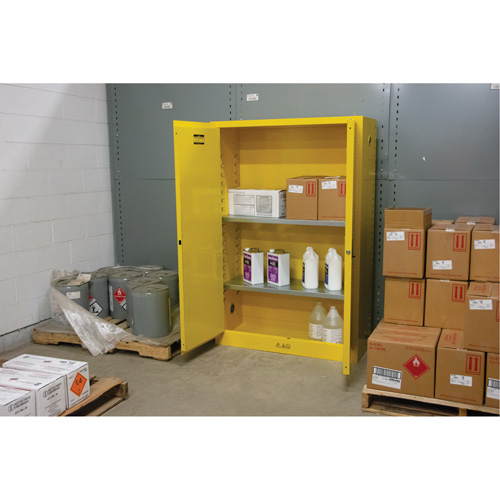 Armoire pour produits inflammables, 45 gal., 2 Porte(s), 43" La x 65" h x 18" p Distribution Jean Lapalme