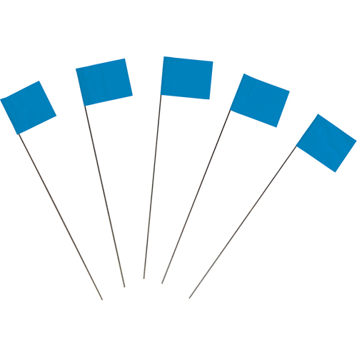 Marking Flags Distribution Jean Lapalme