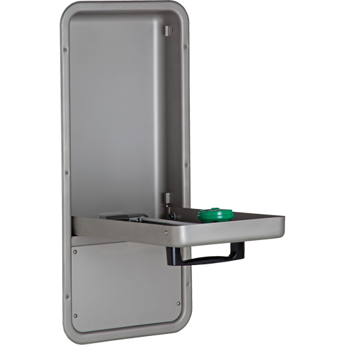 Eye/Face Wash Station, Wall-Mount Installation, Stainless Steel Bowl Distribution Jean Lapalme