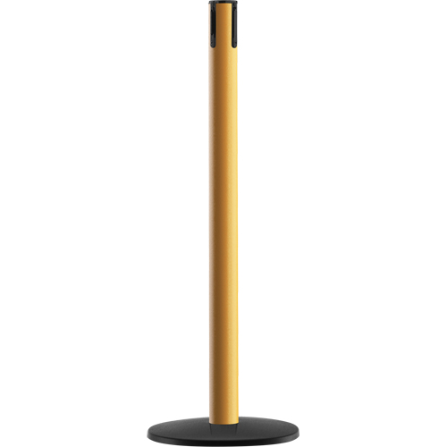 Advance TensaBarrier&reg; - Receiver Post, 36" High, Yellow Distribution Jean Lapalme