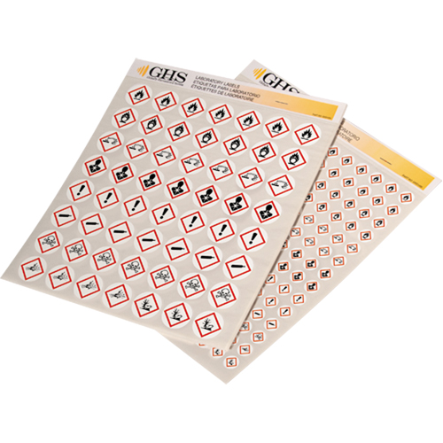 Assortiment d'&eacute;tiquettes avec pictogrammes sgh, Vinyle, Feuille, 1/2" lo x 1/2" la Distribution Jean Lapalme