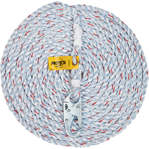 Rope Lifeline with Snap Hook Distribution Jean Lapalme