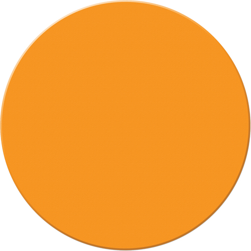 Marqueurs all&eacute;g&eacute;e/5S Armor Stripe, Cercle, 6" lo x 6" la, Orange, Plastique Distribution Jean Lapalme