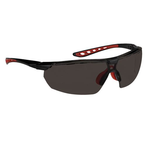 Dynamic Falcon Series Safety Glasses, Smoke Lens, Anti-Fog, ANSI Z87+/Meets/Exceeds CSA Z94.3 Distribution Jean Lapalme