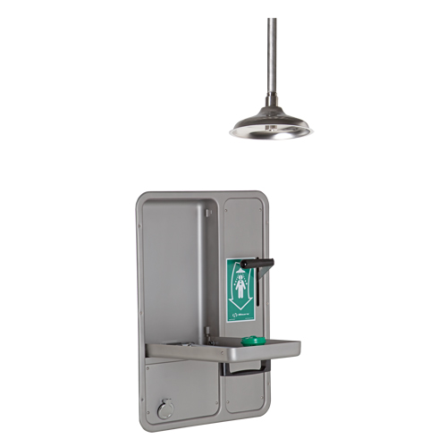 Eye/Face Wash and Shower, Ceiling-Mount Distribution Jean Lapalme