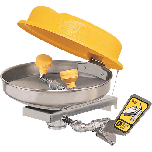 Eyewash Station, Wall-Mount Installation, Stainless Steel Bowl Distribution Jean Lapalme