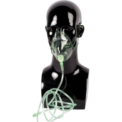 Dynamic Oxygen Mask Distribution Jean Lapalme