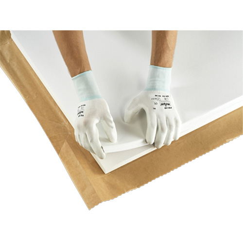 PX140 Coated Gloves, 6/X-Small, Polyurethane Coating, 15 Gauge, Nylon Shell Distribution Jean Lapalme