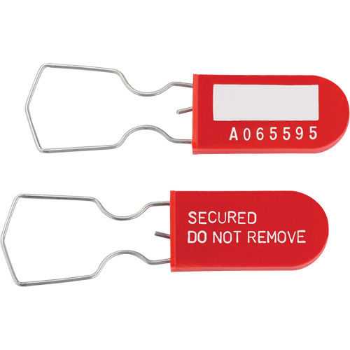 Dynamic Safety Equipment Inspection Tags, Plastic, 1" W x 2-1/4" H, English Distribution Jean Lapalme