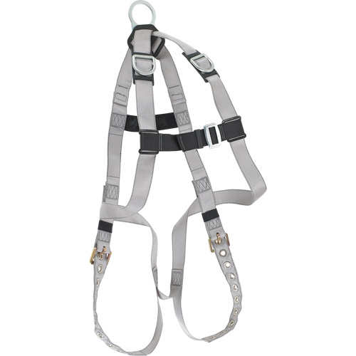 Harnais &eacute;conomique de conformit&eacute; B Dynamic, Certifi&eacute;e CSA, Classe AE, Cap. 310 lb Distribution Jean Lapalme