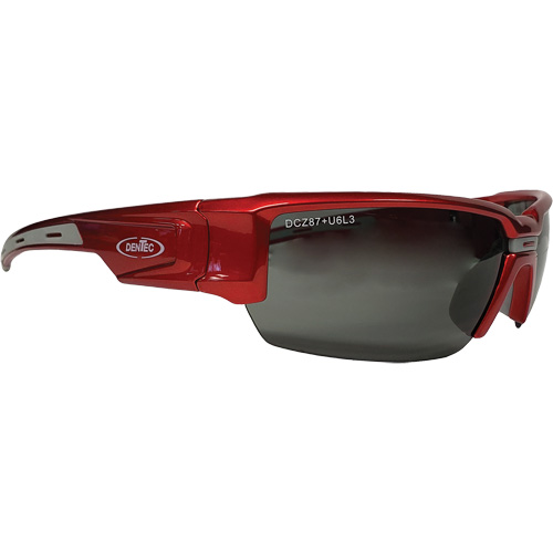 Hartley Safety Glasses, Grey Lens, Polarized, Meets/Exceeds CSA Z94.3 Distribution Jean Lapalme