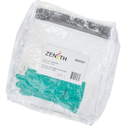Trousse d'&eacute;quipement de lutte contre les d&eacute;versements, Huile seulement/Universel, Sac, Absorbance de 5 gal. US Distribution Jean Lapalme