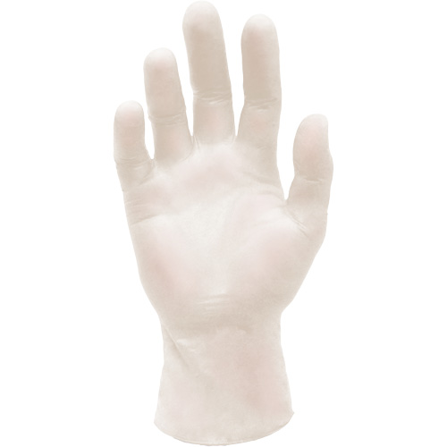 Synthetic Stretch Medical Examination Gloves, Large, Vinyl, 5-mil, Powder-Free, White, Class 2 Distribution Jean Lapalme