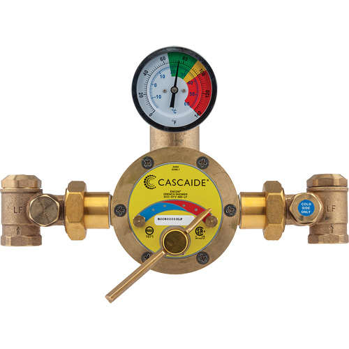 Mixing Valve for Exposed Assembly of Drench or Combination Emergency Shower, 56 GPM Distribution Jean Lapalme