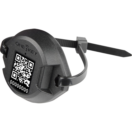 One-Key Bluetooth Tracking Tags Distribution Jean Lapalme