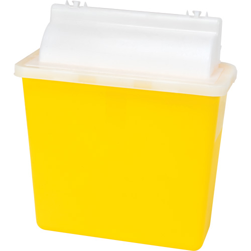 Sharps Container, 4.6L Capacity Distribution Jean Lapalme