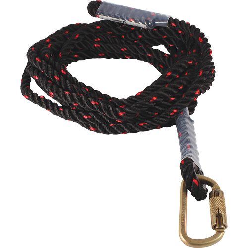 Dynamic Vertical Rope Lifeline with Carabiner Distribution Jean Lapalme