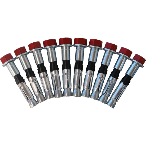 Replacement Bolt Kit for Concrete D-Ring Anchors, Bolt-On, Permanent/Temporary Use Distribution Jean Lapalme