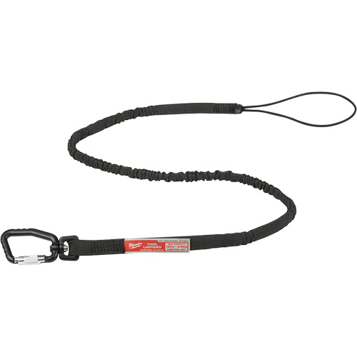 Extended Reach Locking Tool Lanyard, Bungee, Carabiner/Loop Distribution Jean Lapalme