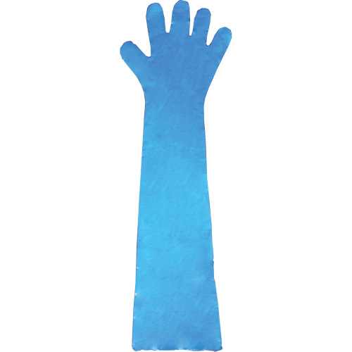 Gants jetables en latex, Gants jetables, Gants jetables en vinyle, Poly&eacute;thyl&egrave;ne, Sans poudre, Bleu Distribution Jean Lapalme