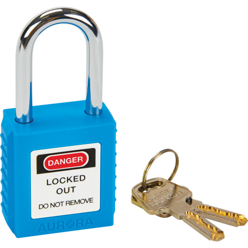 Cadenas de s&eacute;curit&eacute;, Bleu, Cl&eacute;s diff&eacute;rentes, Thermoplastique, Largeur de 1-1/2" Distribution Jean Lapalme