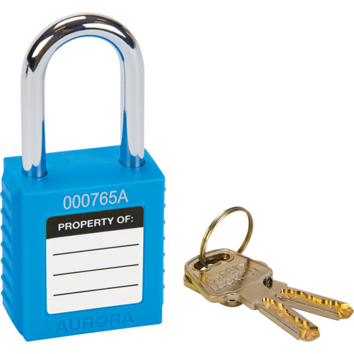 Cadenas de s&eacute;curit&eacute;, Bleu, Cl&eacute;s diff&eacute;rentes, Thermoplastique, Largeur de 1-1/2" Distribution Jean Lapalme