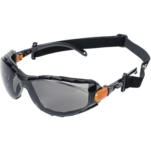 XPS502 Sealed Safety Glasses, Smoke Lens, Anti-Fog/Anti-Scratch Distribution Jean Lapalme