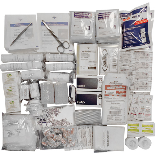 Shield Intermediate First Aid Kit Refill, Meets CSA Z1220-17 Type 3 High-Risk Environment, Medium (26-50 Workers) Distribution Jean Lapalme