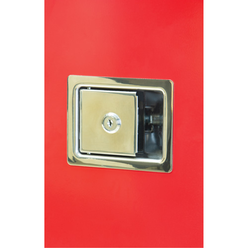 Armoires ext&eacute;rieures robustes pour extincteurs, 14" la x 28" h x 10" p Distribution Jean Lapalme