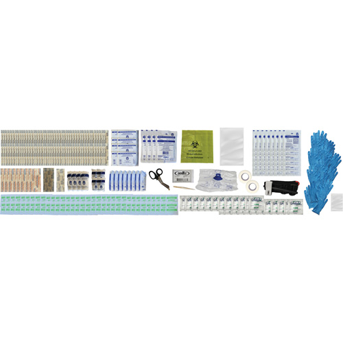 Shield First Aid Kit, Meets/Exceeds CSA Z1220-24 Type 2 Low-Risk Environment, Large (51-100 Workers) Distribution Jean Lapalme