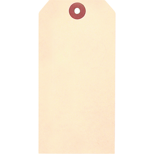 Manila Blank Tags, Cardstock, 2-7/8" W x 5-3/4" H Distribution Jean Lapalme