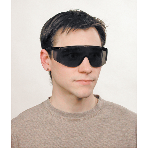 Lunettes de s&eacute;curit&eacute; Tacoma, Lentille Grise/fum&eacute;e, Anti-&eacute;gratignures, ANSI Z87+ Distribution Jean Lapalme
