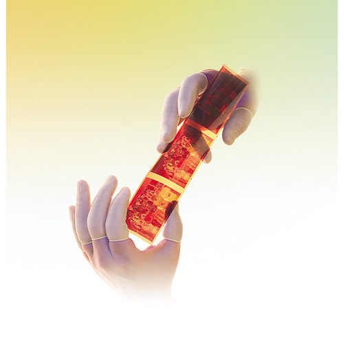 Doigtiers en latex poudr&eacute;s QRP Distribution Jean Lapalme