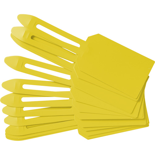 Blank Plastic Lock-On Tags, Plastic, 3-1/4" W x 5-4/5" H, Blank Distribution Jean Lapalme