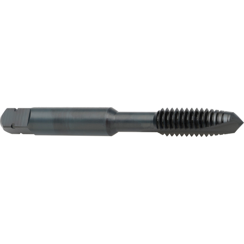 Taraud &agrave; entr&eacute;e h&eacute;licoidale, Acier rapide au cobalt, Filet de 8-32, 2-1/8" l Distribution Jean Lapalme