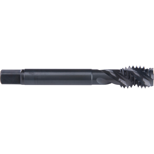45° Spiral Flute Tap, High Speed Cobalt, 10-32 Thread, 2-3/8" L Distribution Jean Lapalme