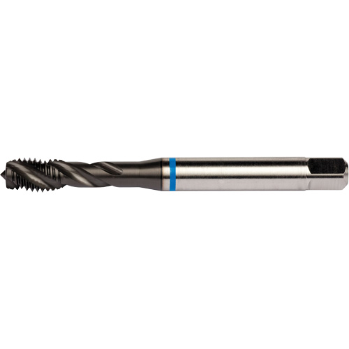 Taraud &agrave; cannelures h&eacute;licoidales Blue Shark, Acier rapide au cobalt, Filet de 1/4"-28, 3,15" l Distribution Jean Lapalme